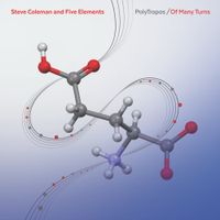 Steve Coleman - PolyTropos/Of Many Turns