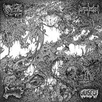 Oxalate - Oxalate / Perpetuated / Blood Spore / Vivisect