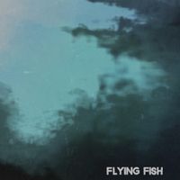 Dog Silent - Flying Fish