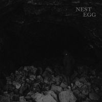 Nest Egg - Nothingness Is Not a Curse