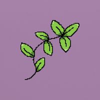 Dot Dev - BESTMORNING