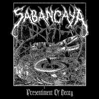 Sabancaya - Presentiment of Decay