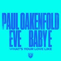 Paul Oakenfold - What's Your Love Like