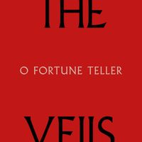 The Veils - O Fortune Teller