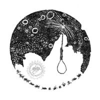 Cara Neir - Stagnant Perceptions