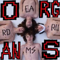 Eardrums - ORGANS