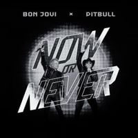 Pitbull - Now or Never