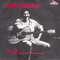 Jim Croce - I'll Have to Say I Love You in a Song