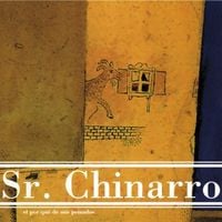 Sr. Chinarro - El porqu&eacute; de mis peinados