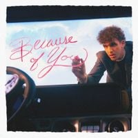 Lauv - Because of You