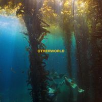Rec Hall - Otherworld