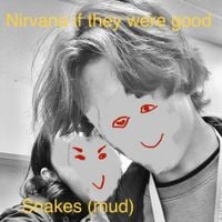 Nirvana If They Were Good - Snakes (mud)