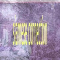 Siamese Connection - siamese connection