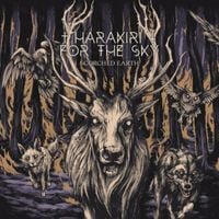Harakiri for the Sky - Heal Me