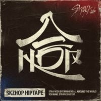 Stray Kids - 合 (HOP)