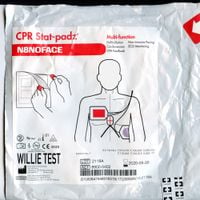 N8NOFACE - Willie Test: a story of cocaine and steroids