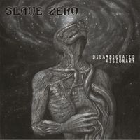 Slave Zero - Disambiguated Visionary