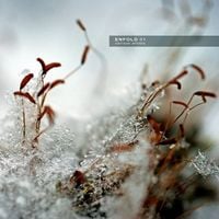 Various Artists - Enfold 01