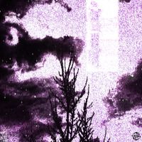 Quixi - did i talk too much
