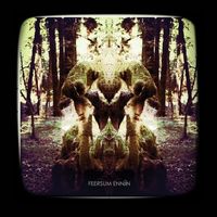 Feersum Ennjin - Feersum Ennjin