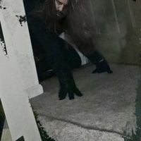 Phyllomedusa - Suburban Pest 3