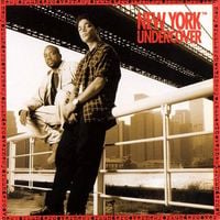 Various Artists - New York Undercover