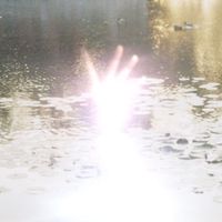 TYM - fadeintou