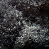 Porcelain - Next to The Middle of Nowhere