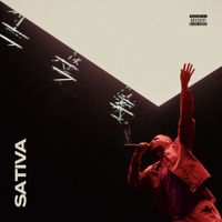 Ektor - SATIVA