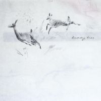 ​dummy ​tree - no dream long weekend
