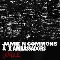 X Ambassadors - Jungle