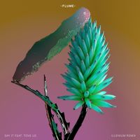 ILLENIUM - Say It (Illenium Remix)