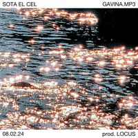 Gavina.mp3 - SOTA EL CEL