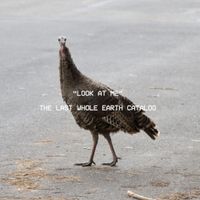 The Last Whole Earth Catalog - Look At Me