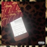 yuke - cheetah world
