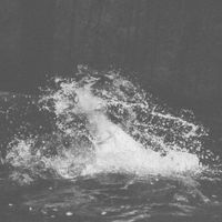 Running Standard - Late Night Theatrics