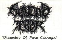 Beyond Fear &lrm; - Dreaming of Pure Carnage