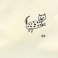 starry cat - starry cat