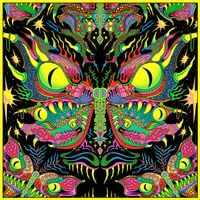 King Gizzard & The Lizard Wizard - Live in New Orleans &lsquo;24