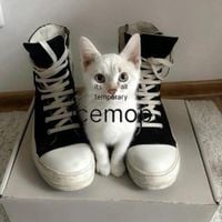 icemop - its all temporary