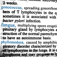 Gonococcus - Session #1 / Spore Eruption / Hyalinobatrachium Adoration