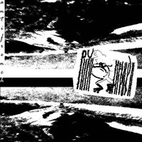 Phyllomedusa - Antifrench