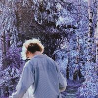 khorti - Magical Forest