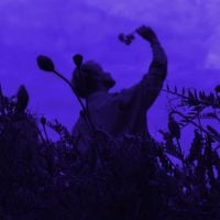 khorti - Lavender Skies