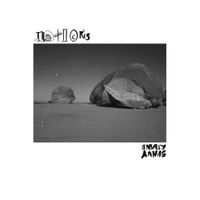 Sunny Levine - Notions