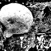 Phyllomedusa - The Foam Nest