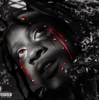 Trippie Redd - A Love Letter To You 4 (5 Year Anniversary)