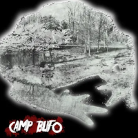 Phyllomedusa - Camp Bufo