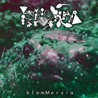 Phyllomedusa - blomMersia