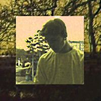 FLASH GENIES - yellow.salt 2017